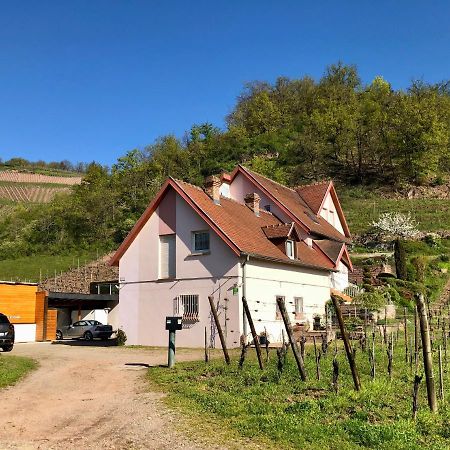 Le Gite Du Sommerberg Niedermorschwihr المظهر الخارجي الصورة