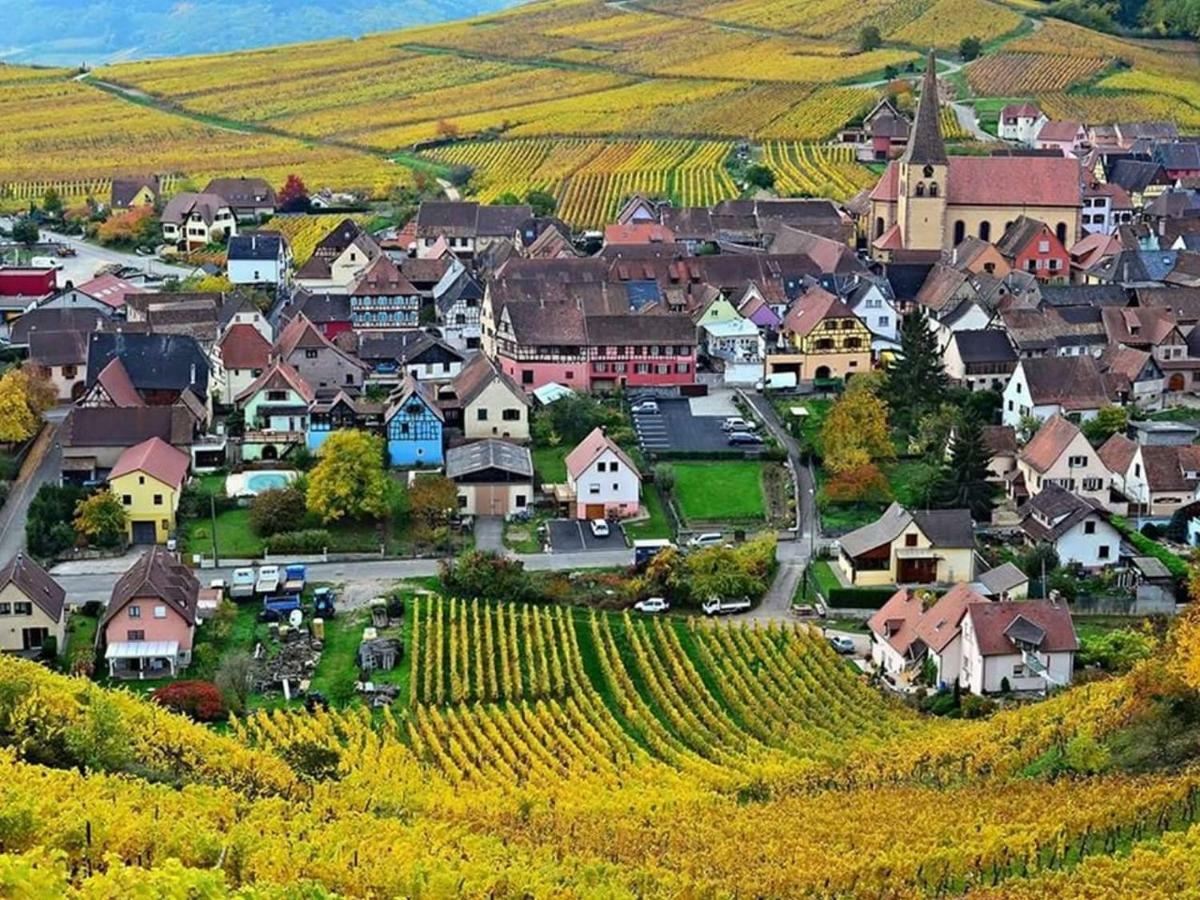 Le Gite Du Sommerberg Niedermorschwihr المظهر الخارجي الصورة